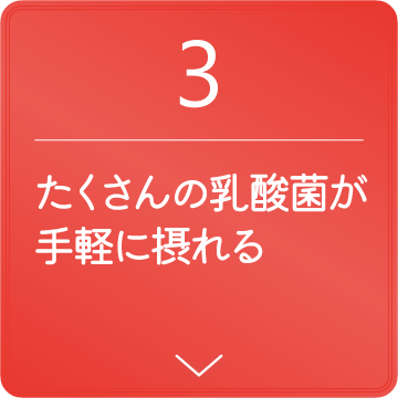 加熱濃縮しているから、たくさんの菌が摂れます